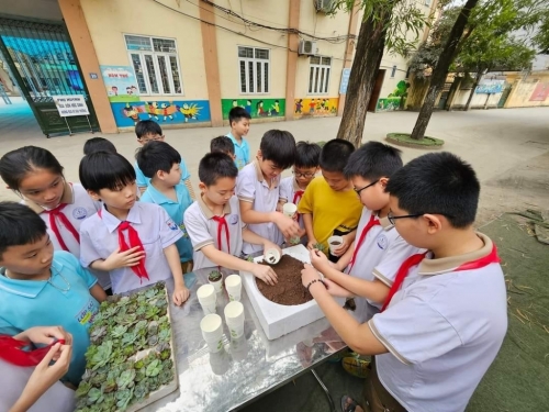 ​​​​​​​ Đổi giấy lấy cây - Xanh trường - Đẹp lớp - Sạch nhà
