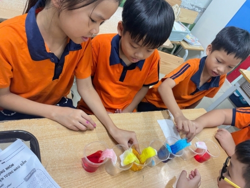 Hoạt động trải nghiệm stem: Học sinh 4A3 hào hứng khám phá hiện tượng mao dẫn