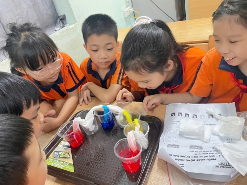 Hoạt động trải nghiệm stem: Học sinh 4A3 hào hứng khám phá hiện tượng mao dẫn